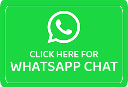 WhatsApp icon